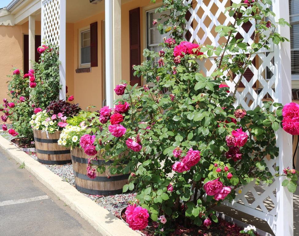 The Bay Willows Inn Middletown Bagian luar foto